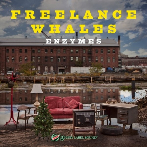 Album Freelance Whales - Enzymes