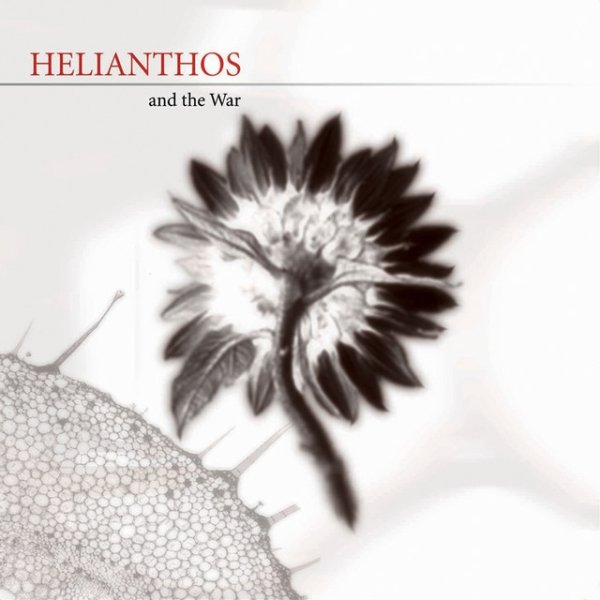 Album Helianthos and the War - Golden Apes