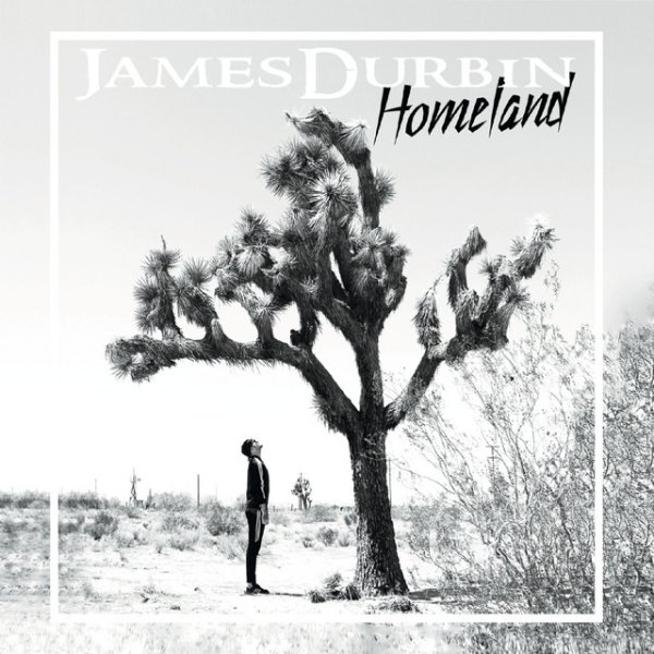 Homeland - album