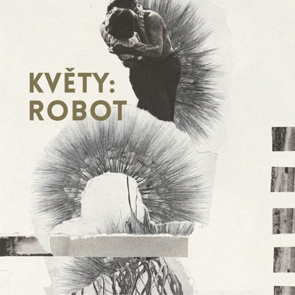 Album Květy - Robot