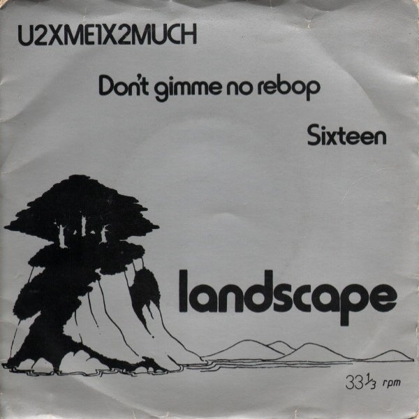 Album U2XME1X2MUCH - Landscape