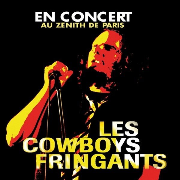 Album Les Cowboys Fringants - En concert au Zénith de Paris