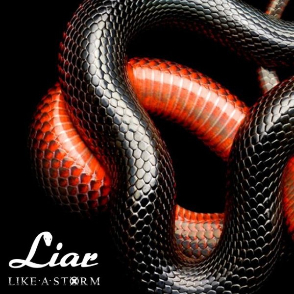 Liar - album