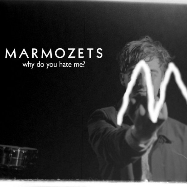 Marmozets Why Do You Hate Me?, 2014