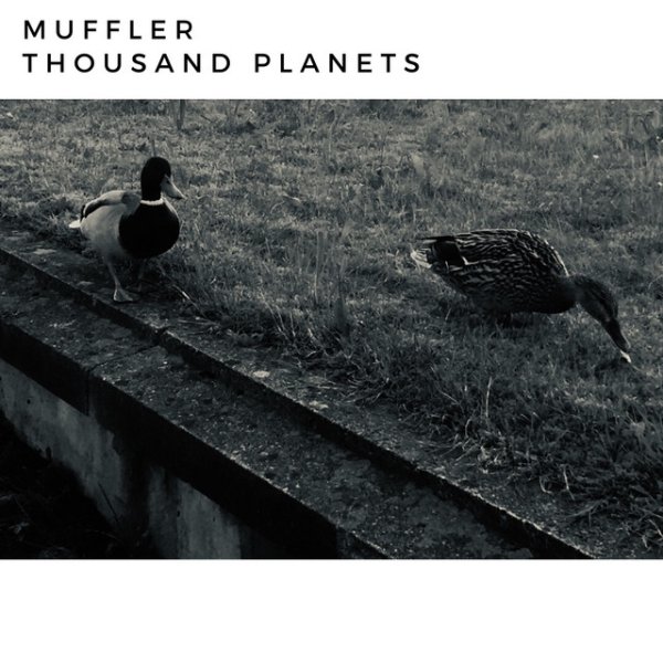 Album Muffler - Thousand Planets