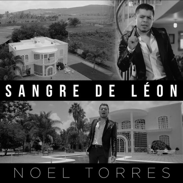 Album Noel Torres - Sangre de Léon