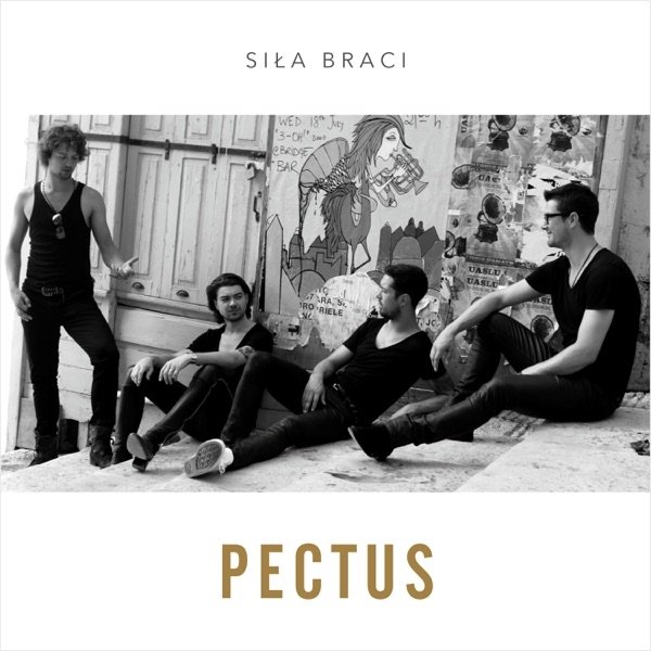 Album Pectus - Siła Braci