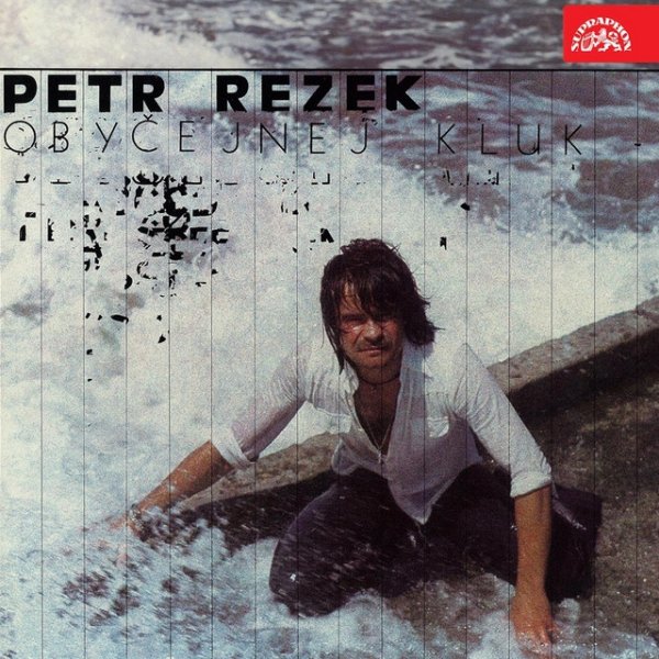 Album Obyčejnej kluk - Petr Rezek