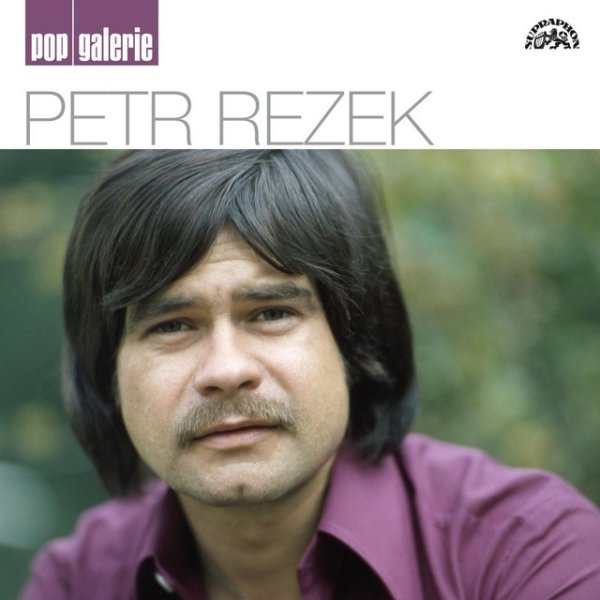 Album Pop galerie - Petr Rezek