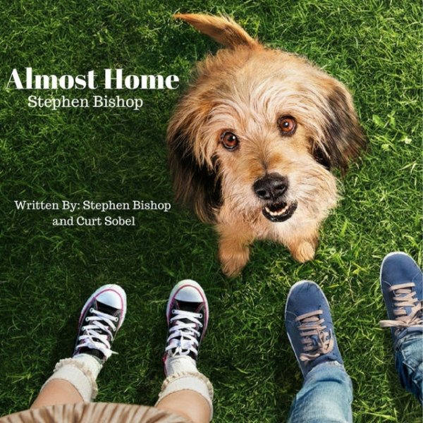 Album Stephen Bishop - Almost Home