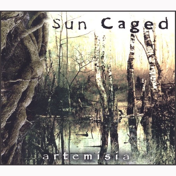 Sun Caged Artemisia, 2007