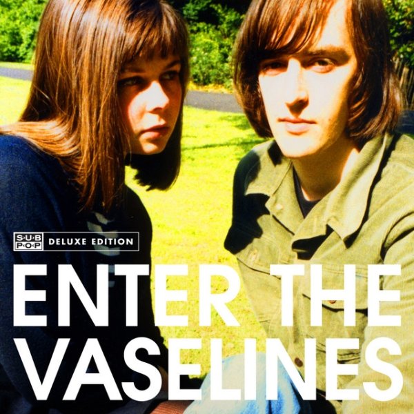 Album The Vaselines - Enter The Vaselines