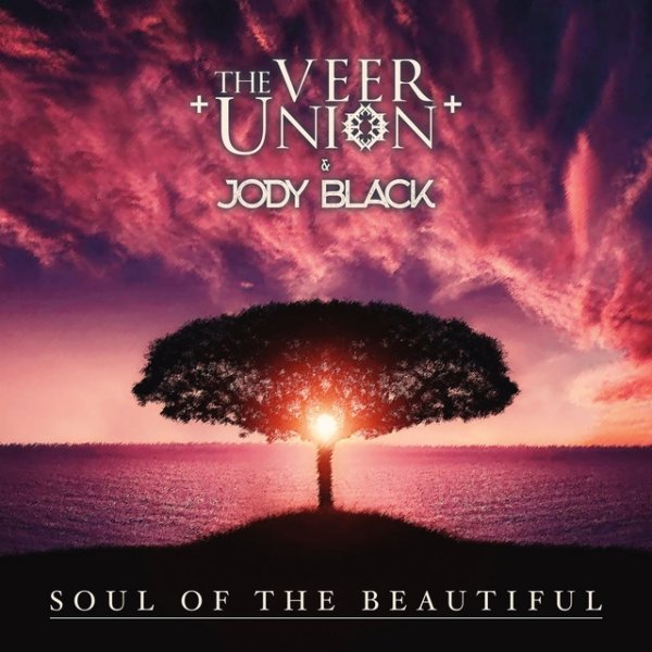 Album The Veer Union - Soul of the Beautiful