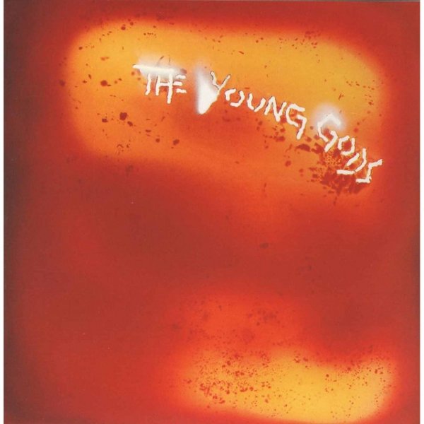 Album L'eau rouge / Red water - The Young Gods