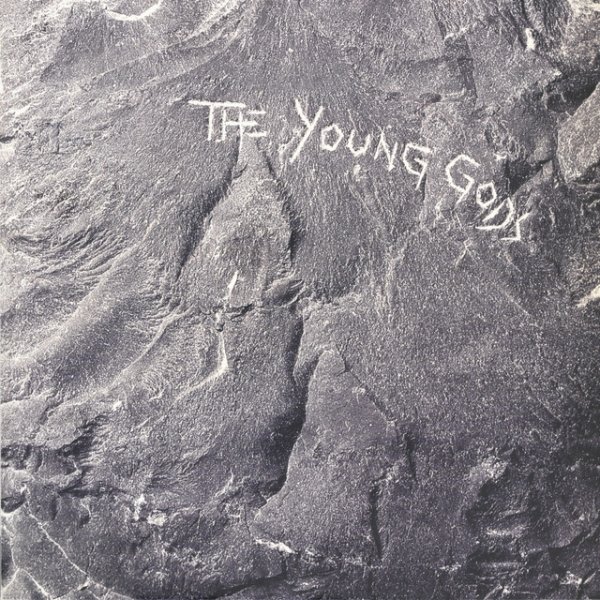 Album The Young Gods - The Young Gods