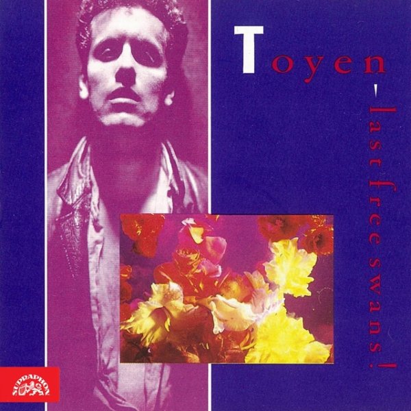 Toyen Last Free Swans!, 1992