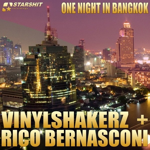 Vinylshakerz One Night in Bangkok, 2010