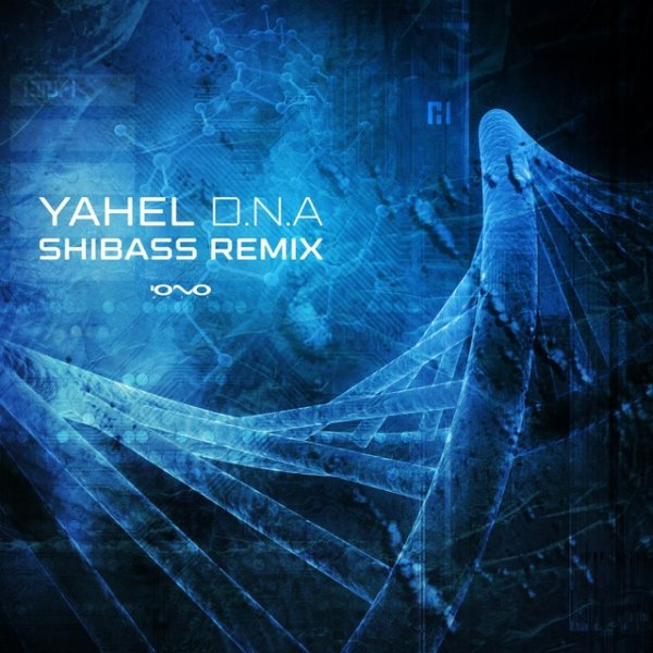 Album Yahel - D.n.a