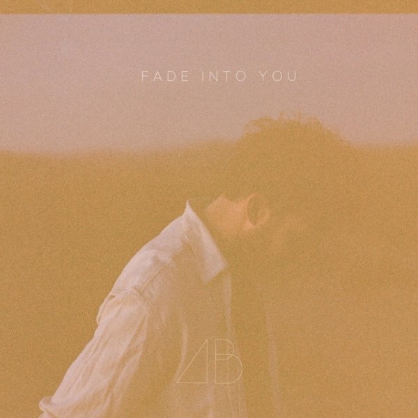 Album Andrew Belle - Fade into You