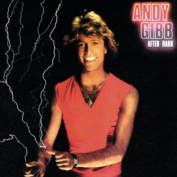Album After Dark - Andy Gibb