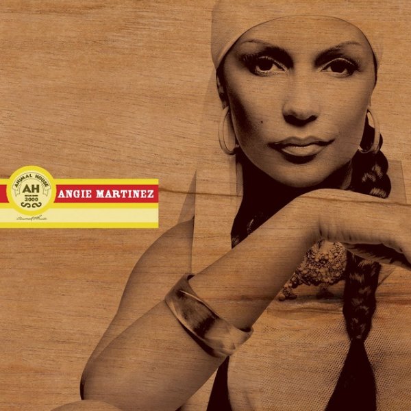 Album Angie Martinez - Take You Home