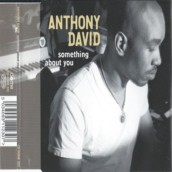 Album Anthony David - Something About You