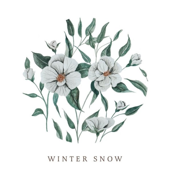 Album Audrey Assad - Winter Snow