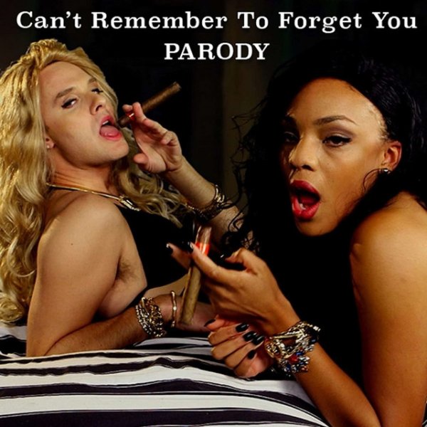 Can't Remember to Forget You Parody - album