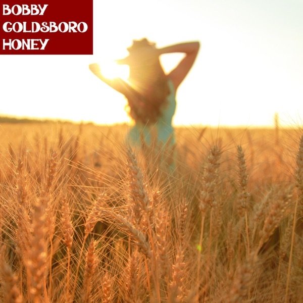 Album Bobby Goldsboro - Honey (Live)