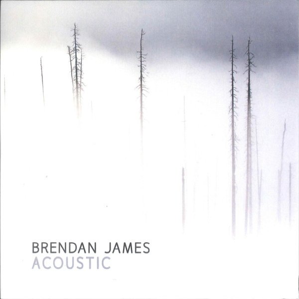 Brendan James Acoustic, 2018