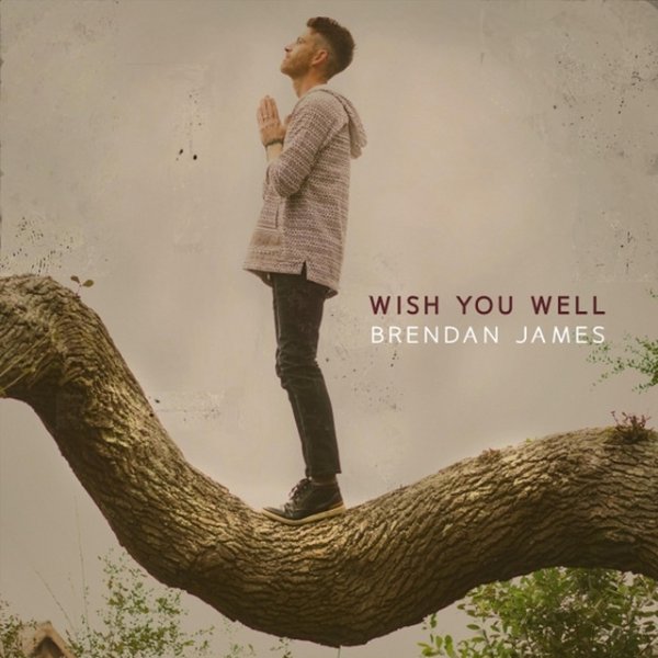 Album Brendan James - Wish You Well