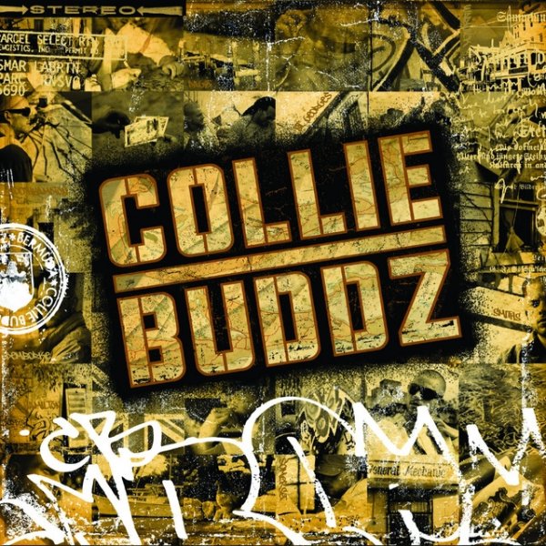 Album Collie Buddz - Collie Buddz