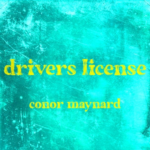 Conor Maynard drivers license, 2021