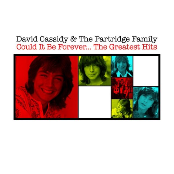 Album David Cassidy - Could It Be Forever - The Greatest Hits