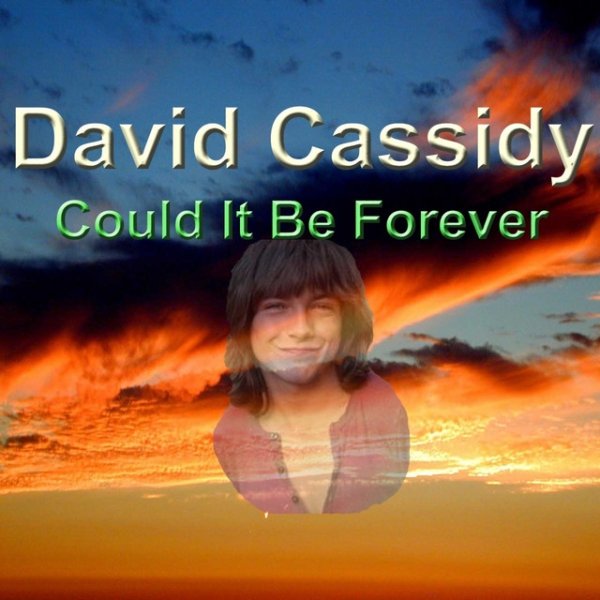 Album David Cassidy - Could It Be Forever