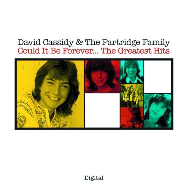 Album David Cassidy - Could It Be Forever...The Greatest Hits