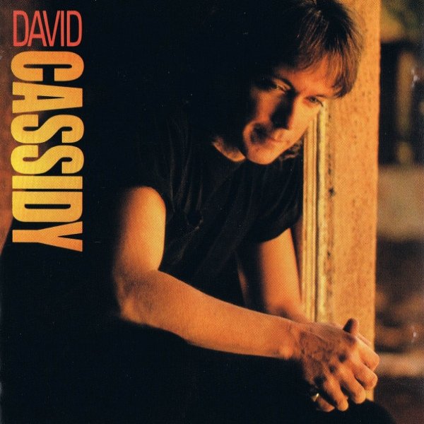 Album David Cassidy - David Cassidy