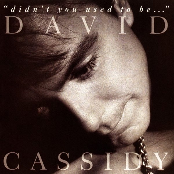 Album David Cassidy - Didn