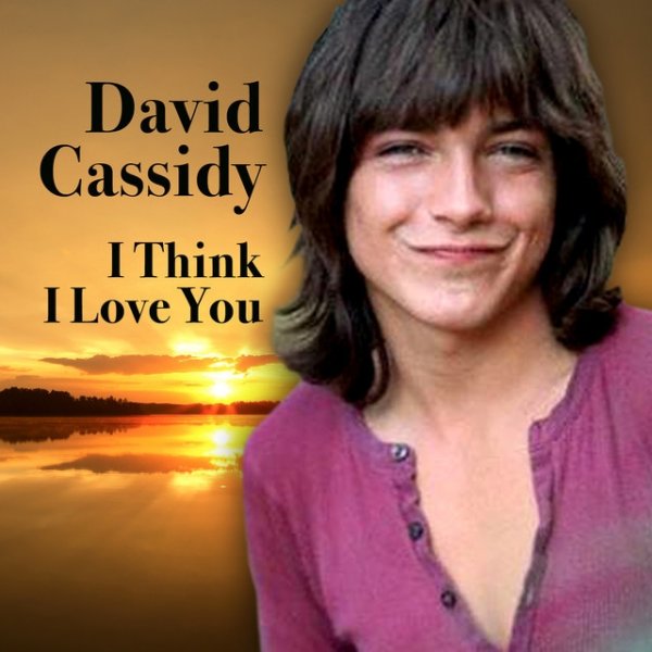 Album David Cassidy - I Think I Love You