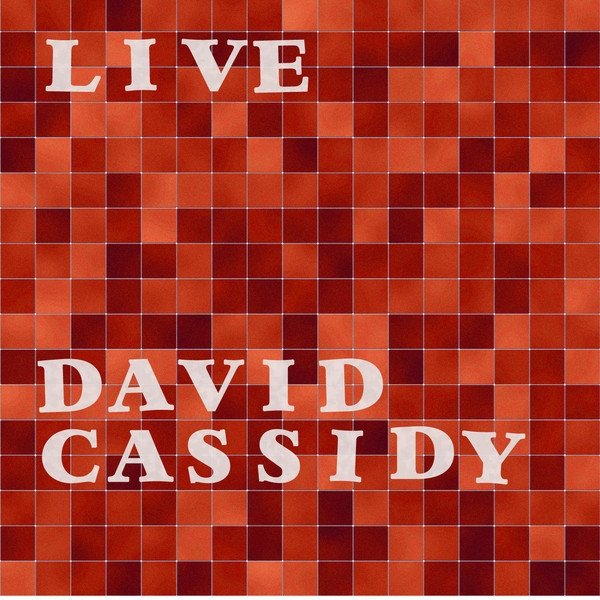 Album David Cassidy - Live