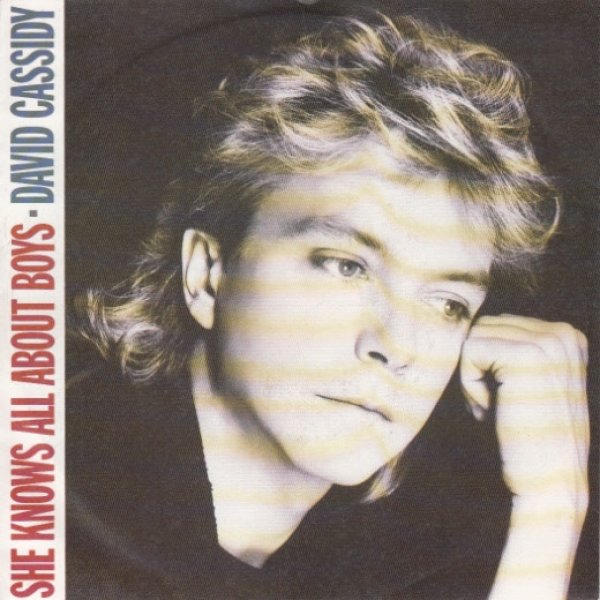 Album David Cassidy - She Knows All About Boys