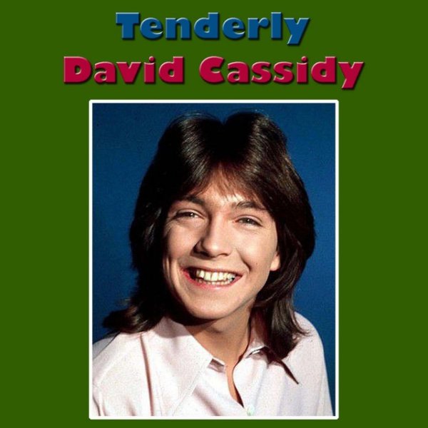 Album David Cassidy - Tenderly