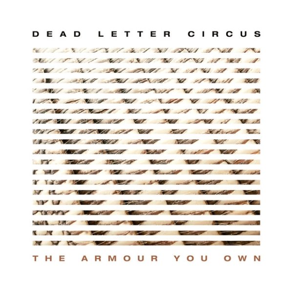 Album Dead Letter Circus - The Armour You Own