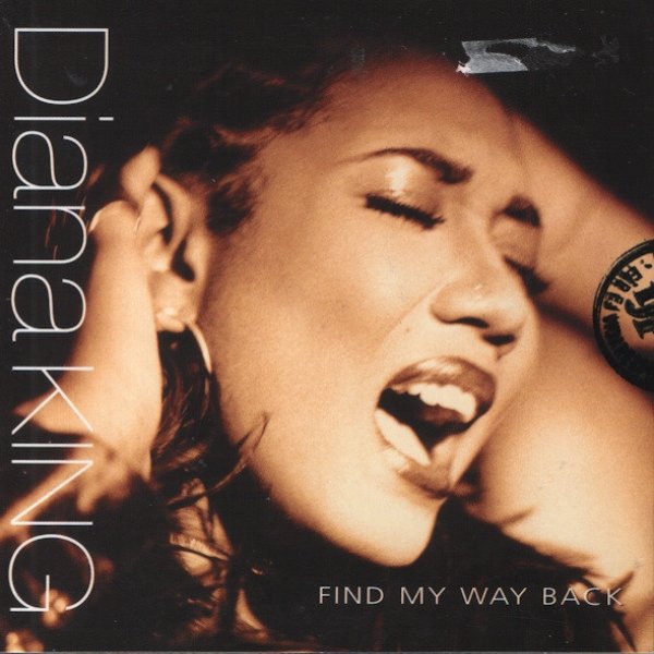 Album Diana King - Find My Way Back