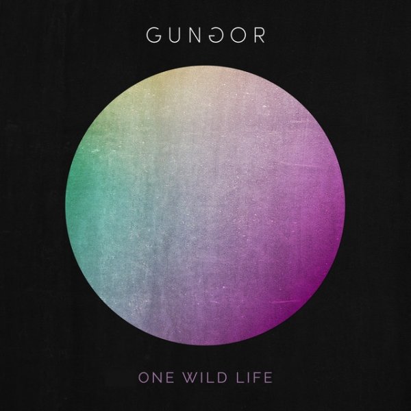 Album Gungor - One Wild Life