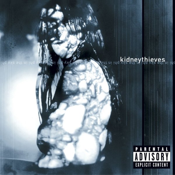 Album Kidneythieves - Phi In The Sky