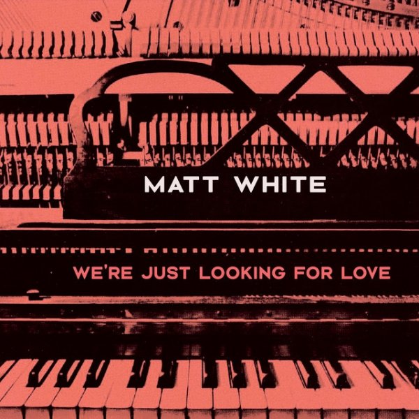 Matt White We're Just Looking for Love, 2019