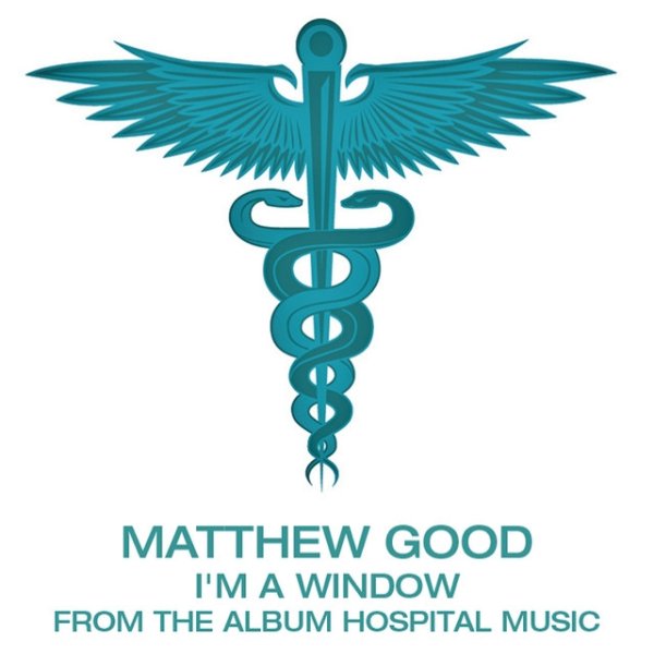 Matthew Good I'm A Window, 2007
