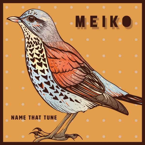 Album Meiko - Name That Tune