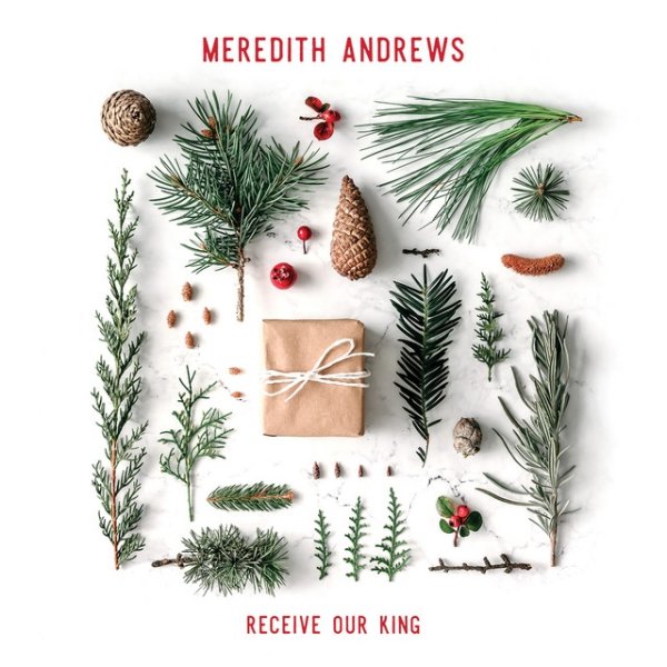 Meredith Andrews Receive Our King, 2017